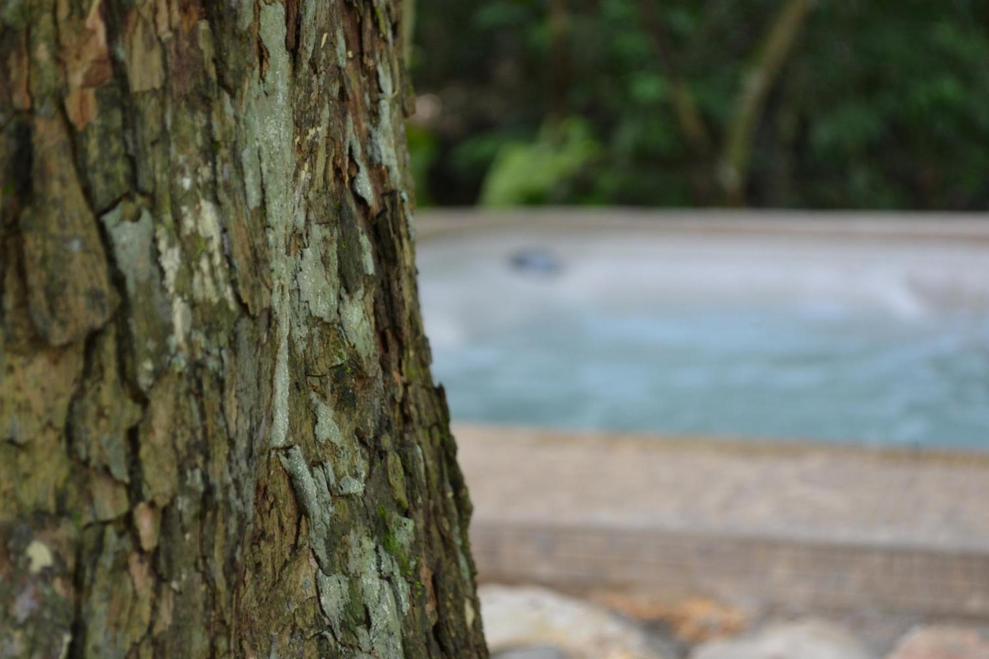 Hotel Jungle Lodge Tikal Phòng bức ảnh