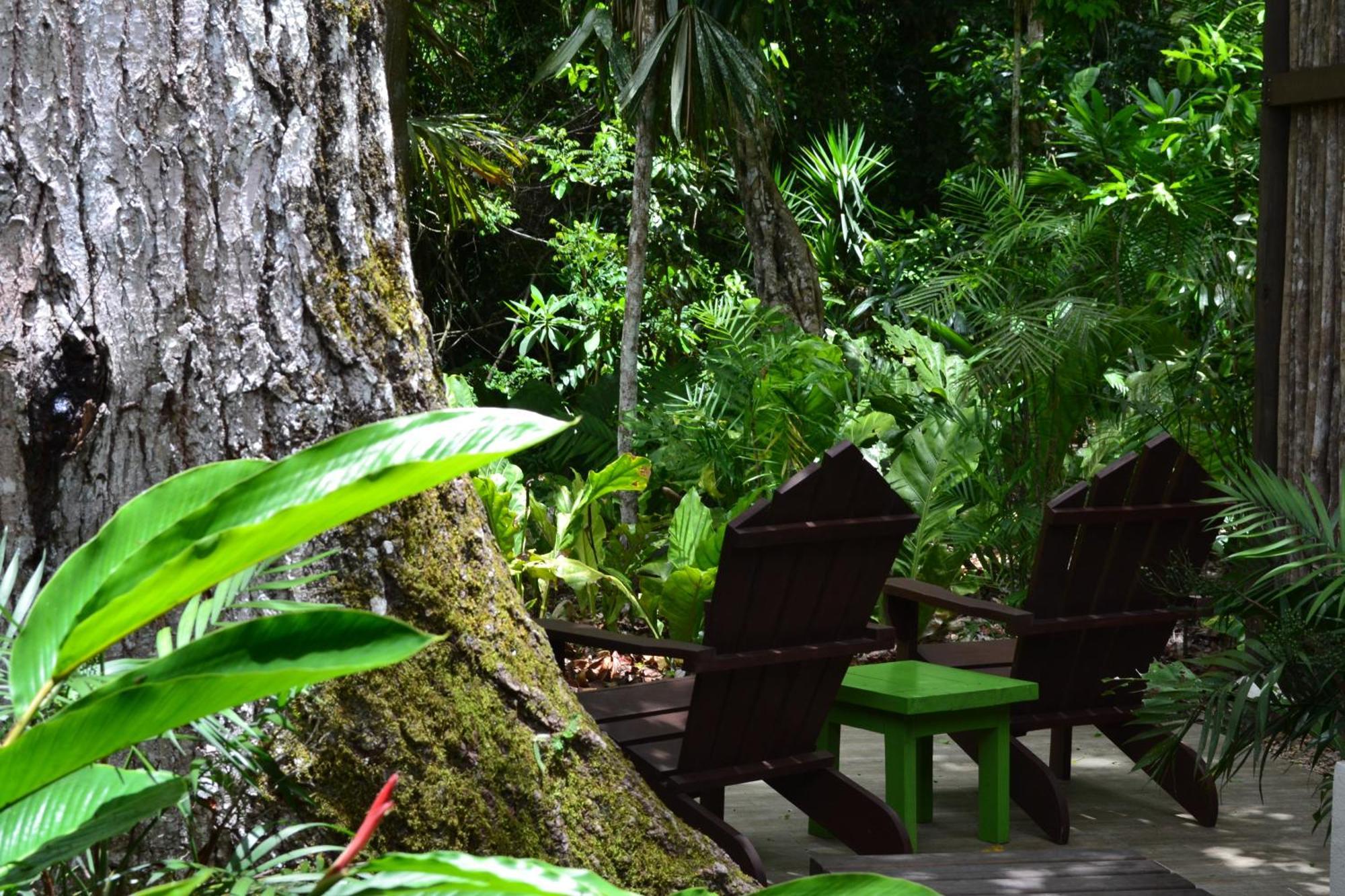 Hotel Jungle Lodge Tikal Phòng bức ảnh
