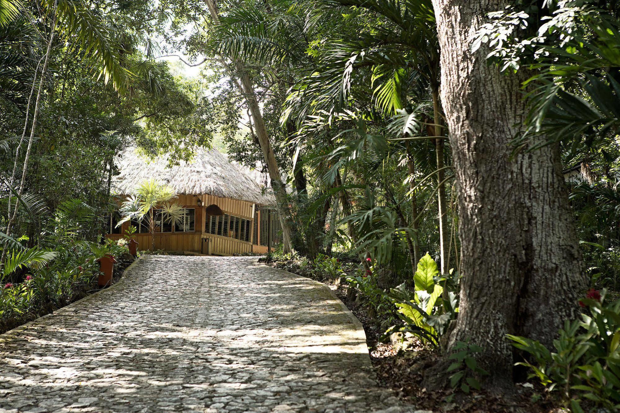 Hotel Jungle Lodge Tikal Ngoại thất bức ảnh